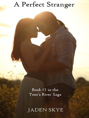 cover image of A Perfect Stranger